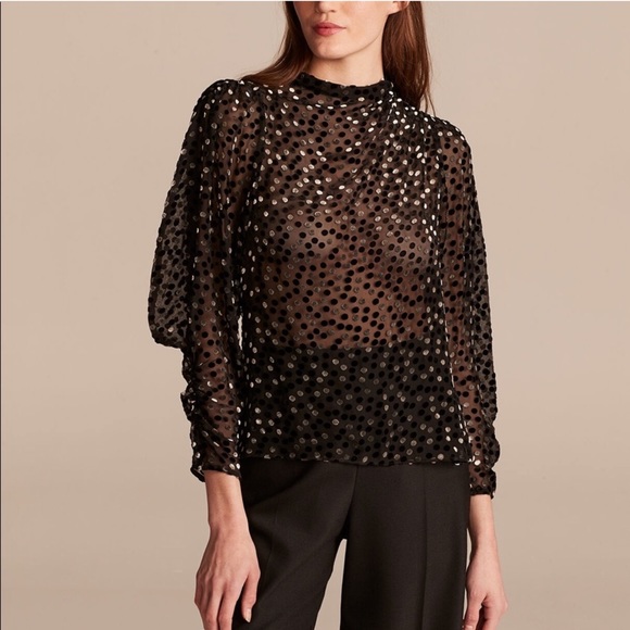 velvet dot sheer top